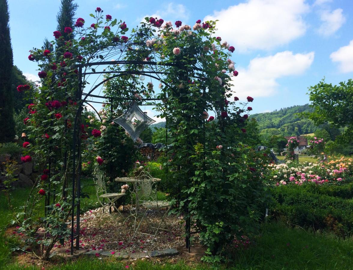 Winzerhof Maennle Διαμέρισμα Oberkirch  Εξωτερικό φωτογραφία