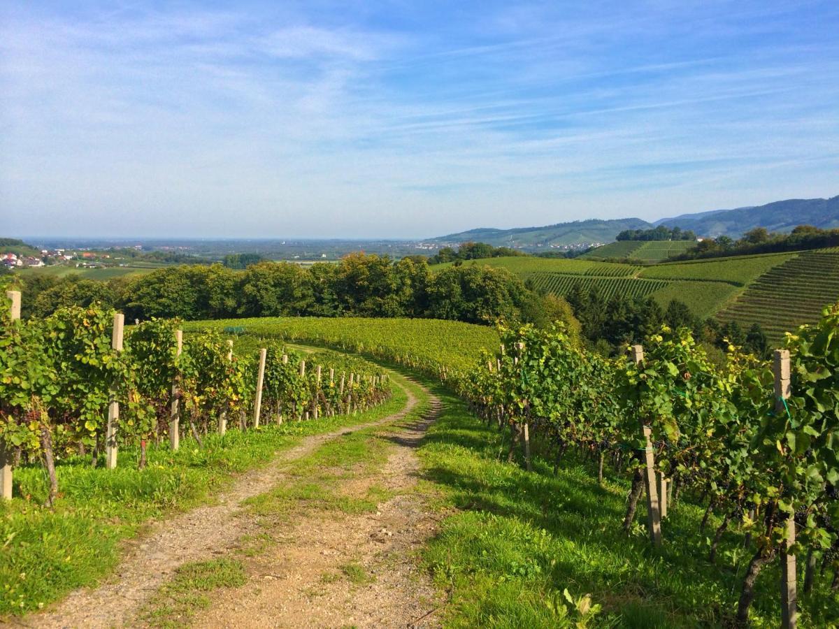 Winzerhof Maennle Διαμέρισμα Oberkirch  Εξωτερικό φωτογραφία