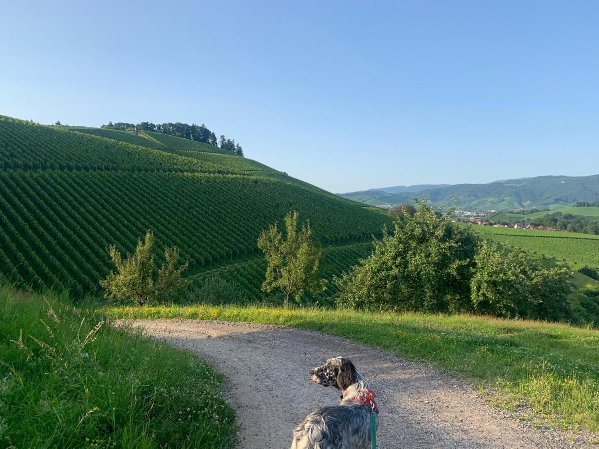 Winzerhof Maennle Διαμέρισμα Oberkirch  Εξωτερικό φωτογραφία