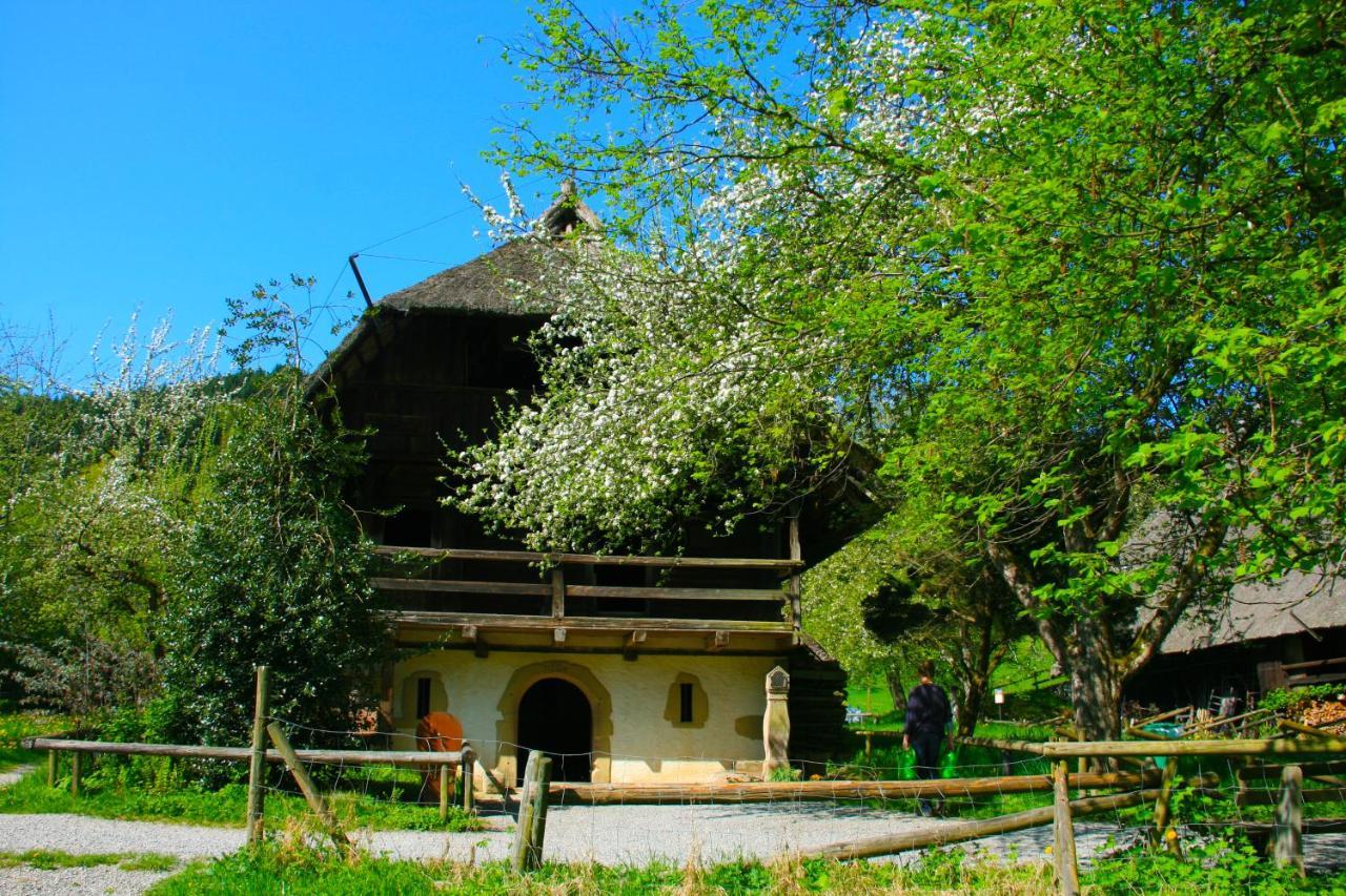 Winzerhof Maennle Διαμέρισμα Oberkirch  Εξωτερικό φωτογραφία