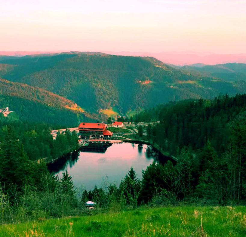 Winzerhof Maennle Διαμέρισμα Oberkirch  Εξωτερικό φωτογραφία